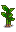 Taro Root Stage 4