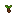 Taro Tuber
