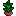 Tea Sapling
