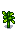 Tomato regrow