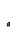Tulip Stage 2
