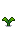 Tulip Stage 4