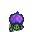 Turtle breed 1