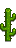 Wall Cactus