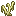 White Algae