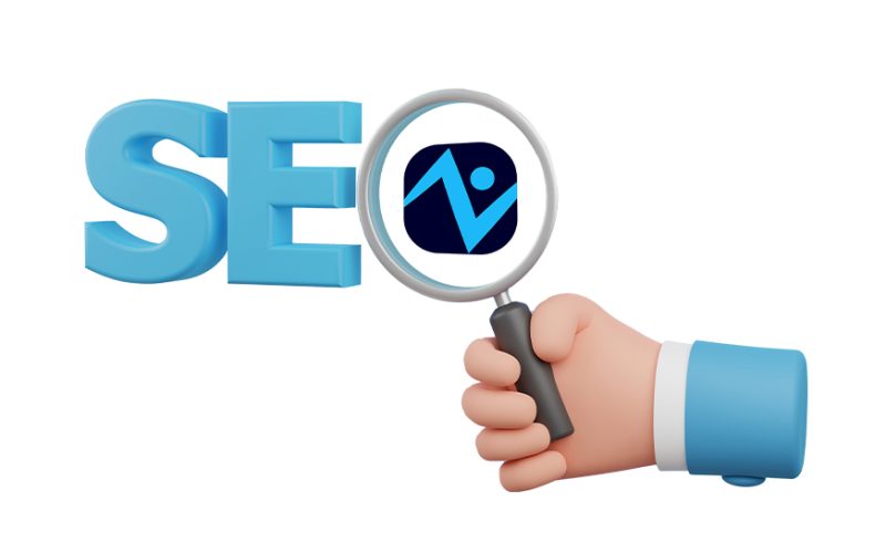 شركة سيو - نوفل سيو أفضل شركة SEO في مصر - Google Search Console Dashboard