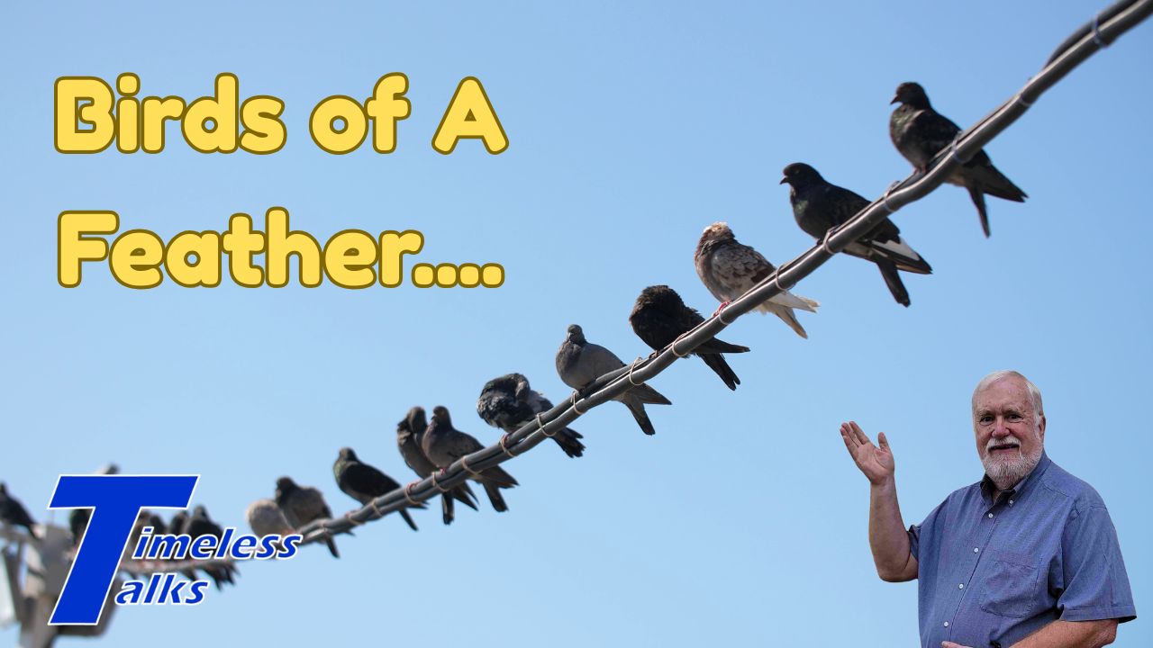 Birds of a Feather...