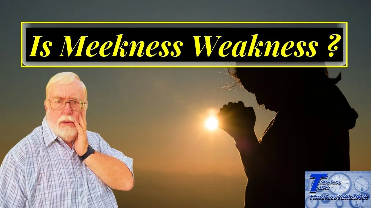 Is Meekness Weakness?