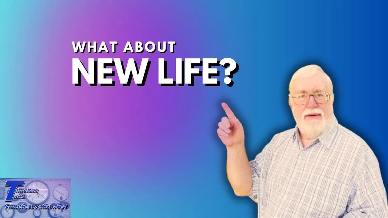 What About The New Life