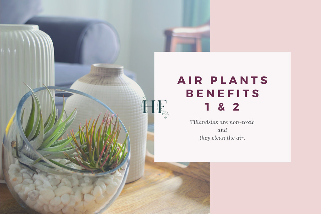 air-plans-clean-the-air