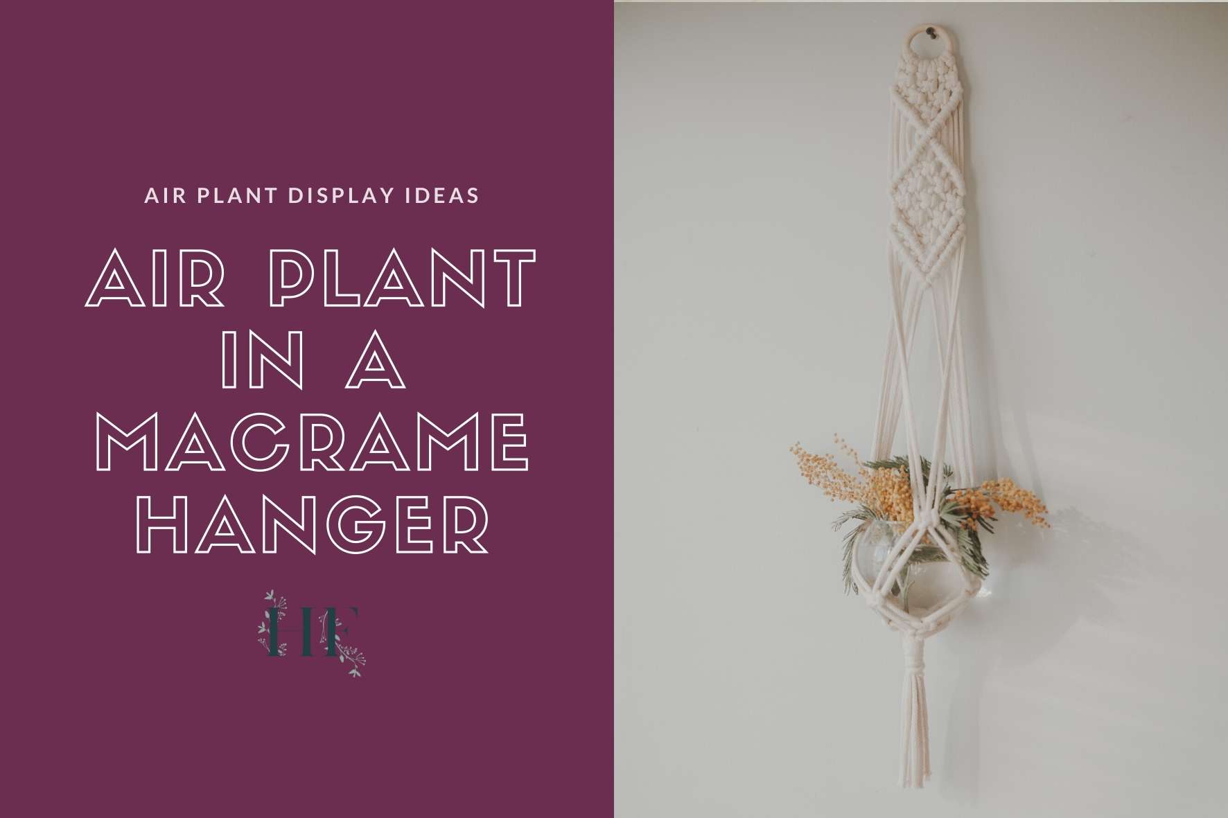 air-plant-hanger-macrame