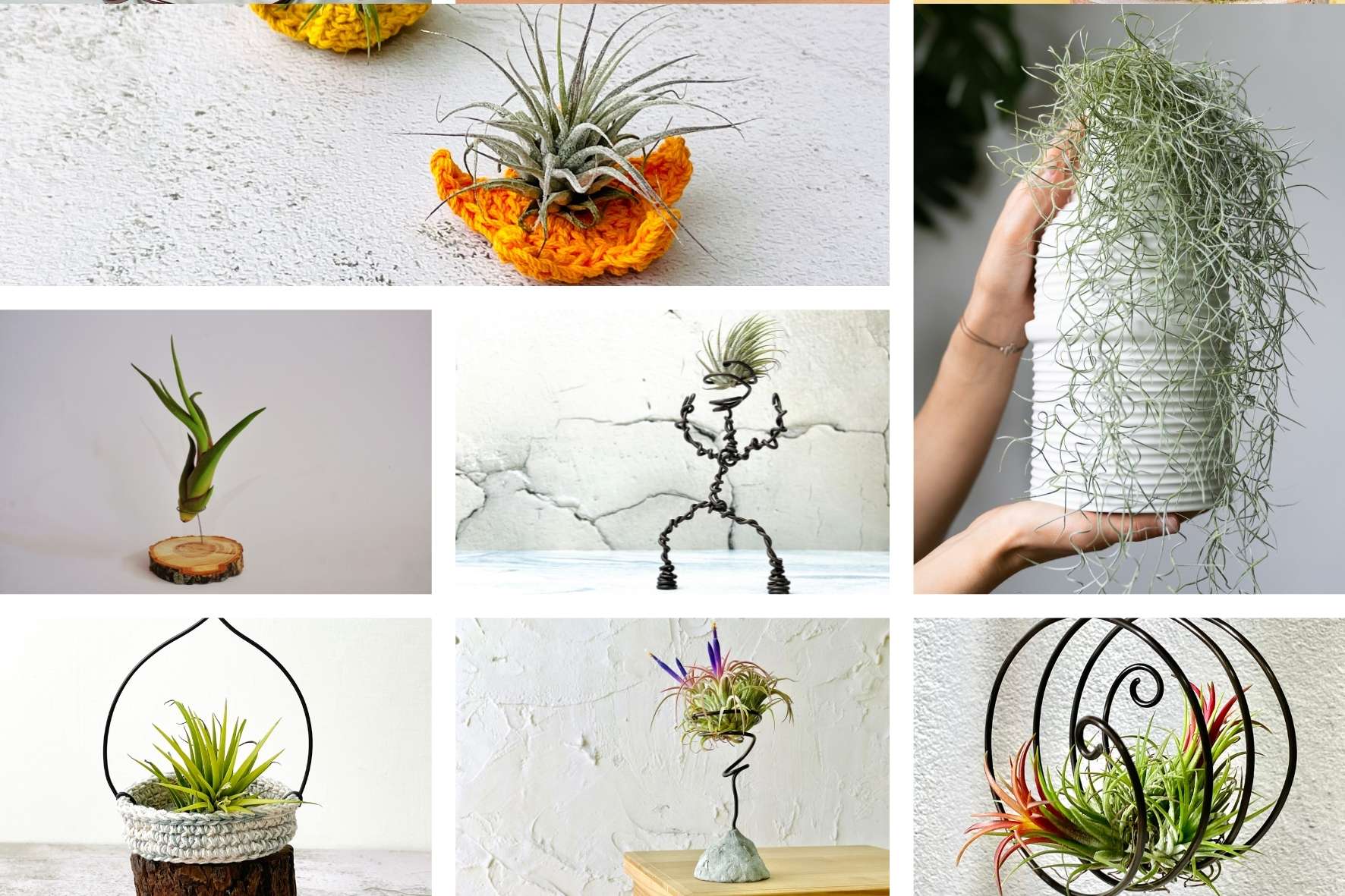 air-plant-holders-diy