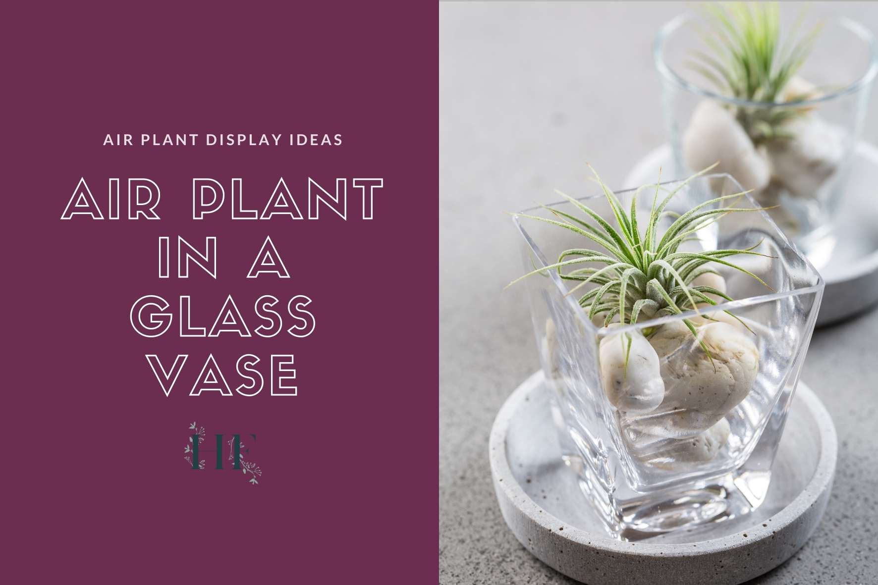 air-plant-vase-pebbles