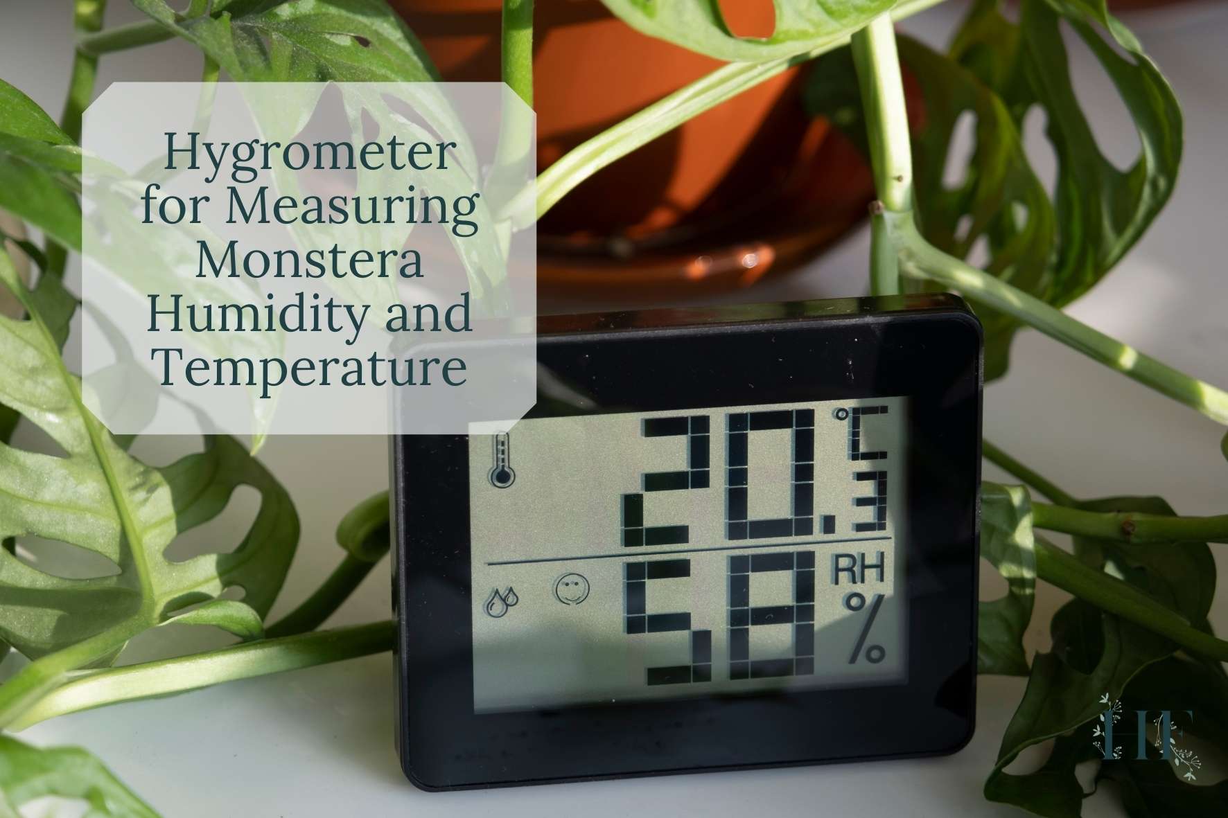 hygrometer-for-measuring-monstera-humidity-and-temperature