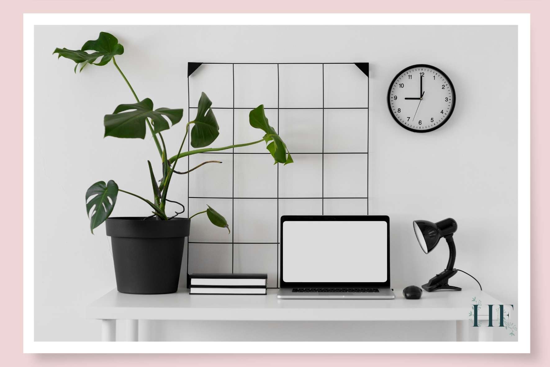 monstera-benefits-sharpened-attention-and-productivity