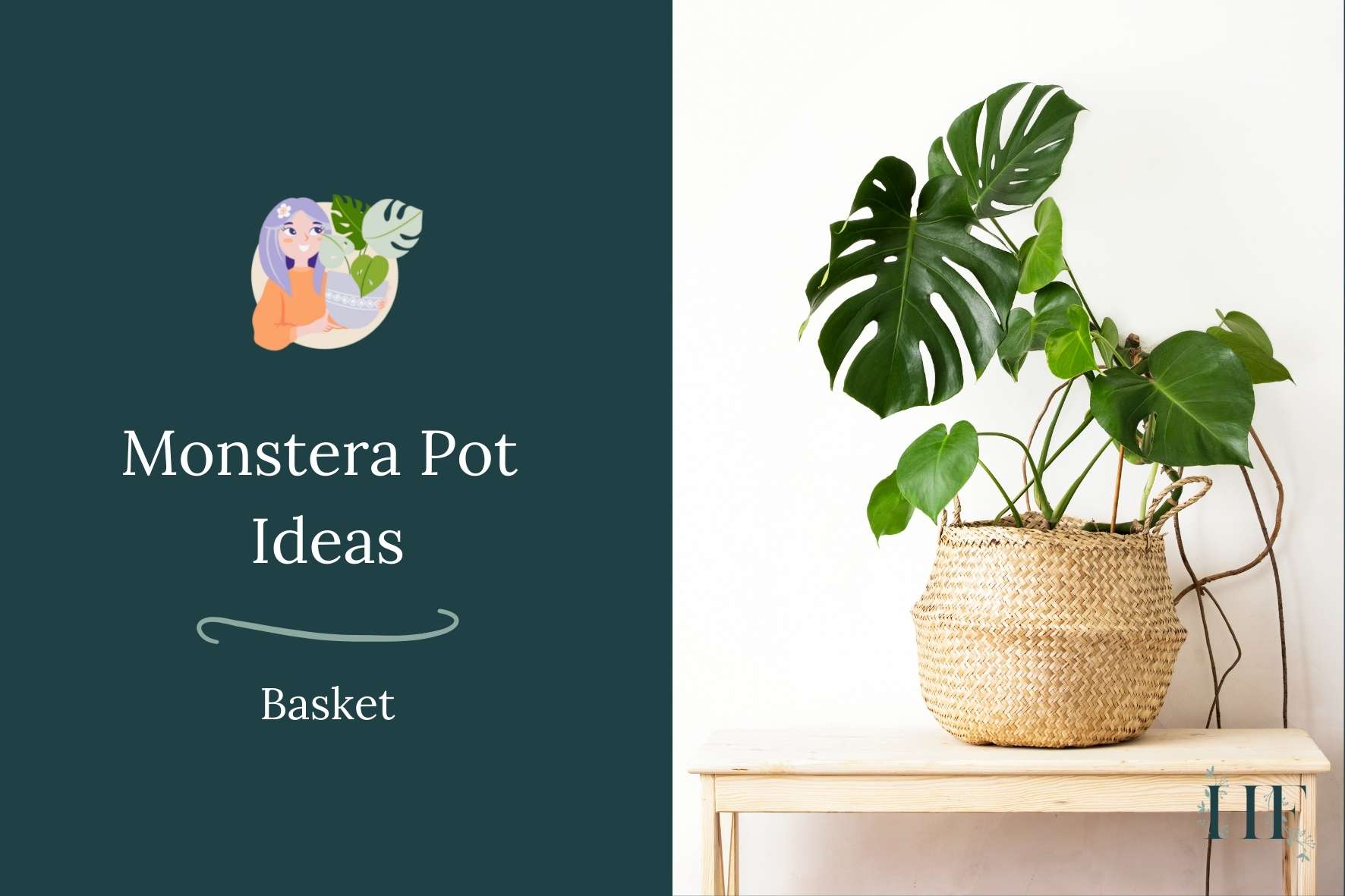 monstera-pot-ideas-basket