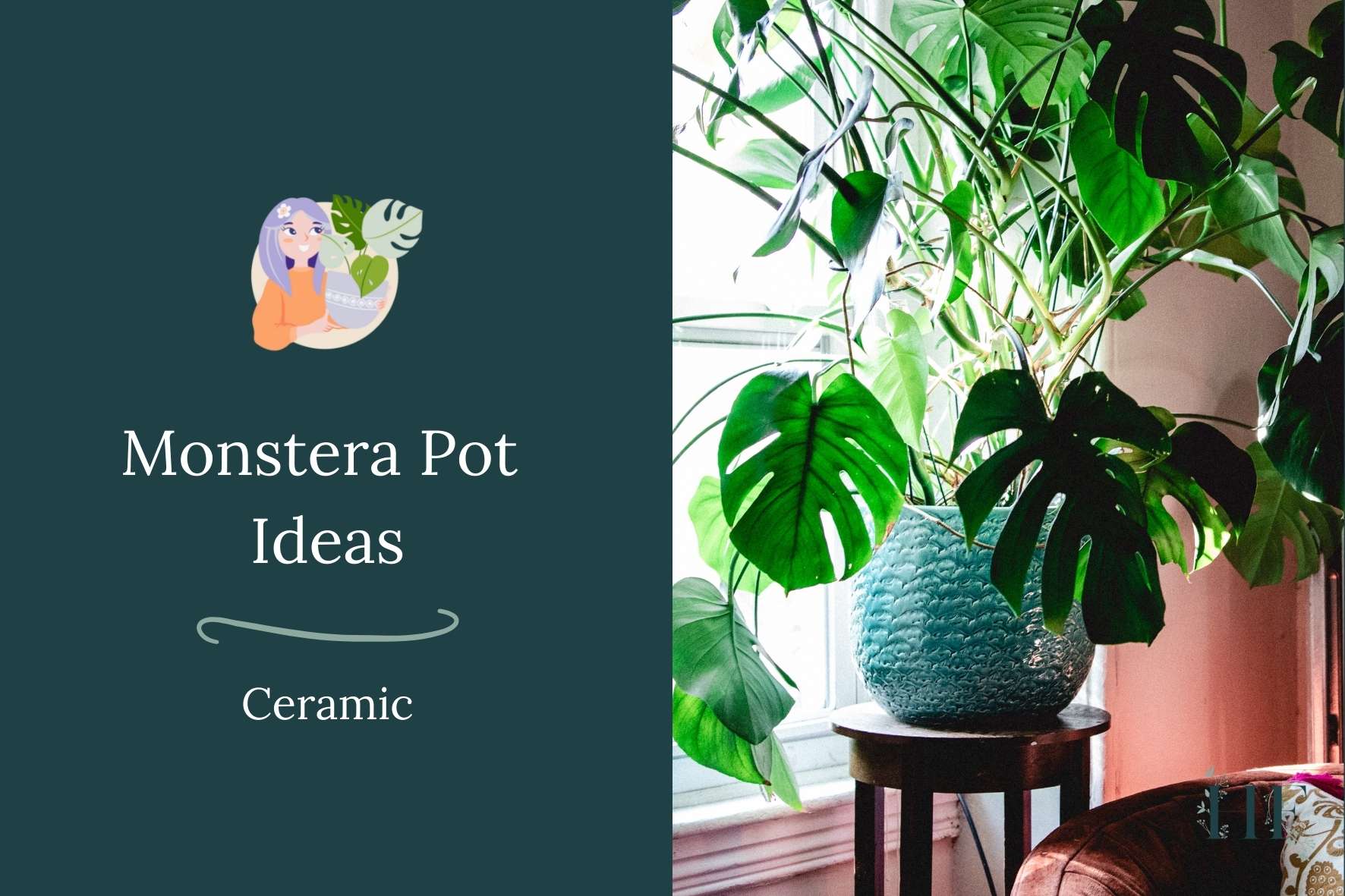 monstera-pot-ideas-ceramic