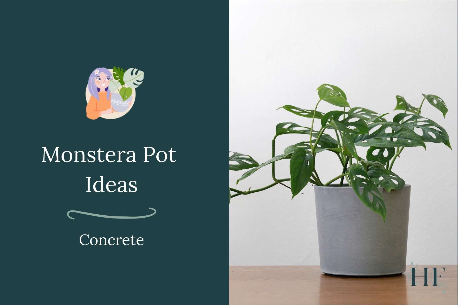 monstera-pot-ideas-concrete