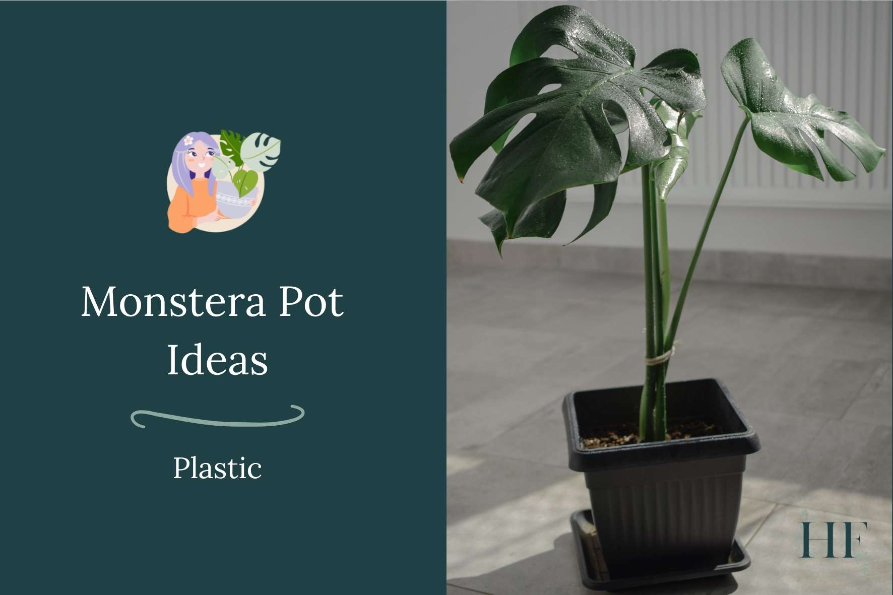 monstera-pot-ideas-plastic