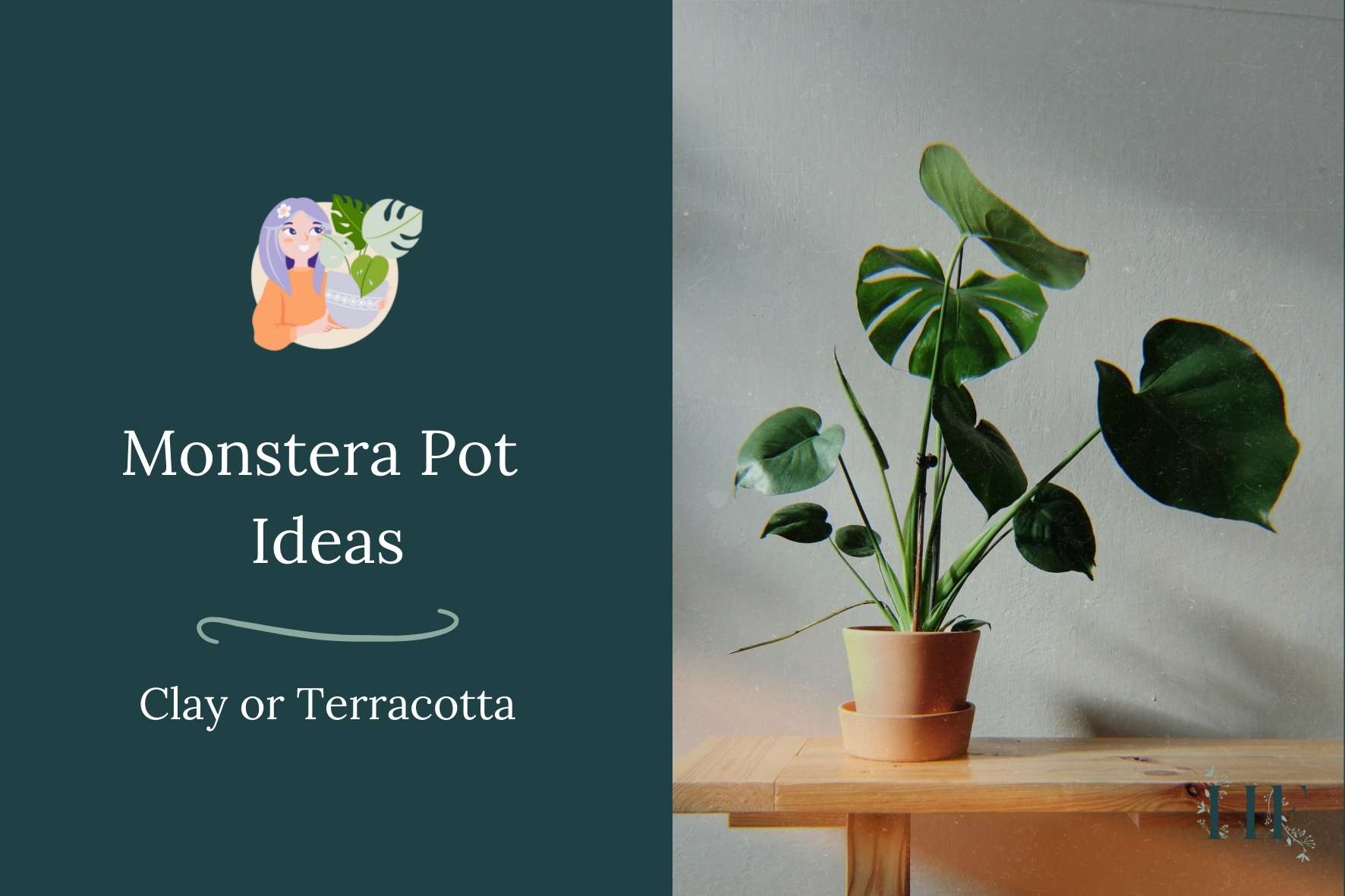 monstera-pot-ideas-terracotta-or-clay