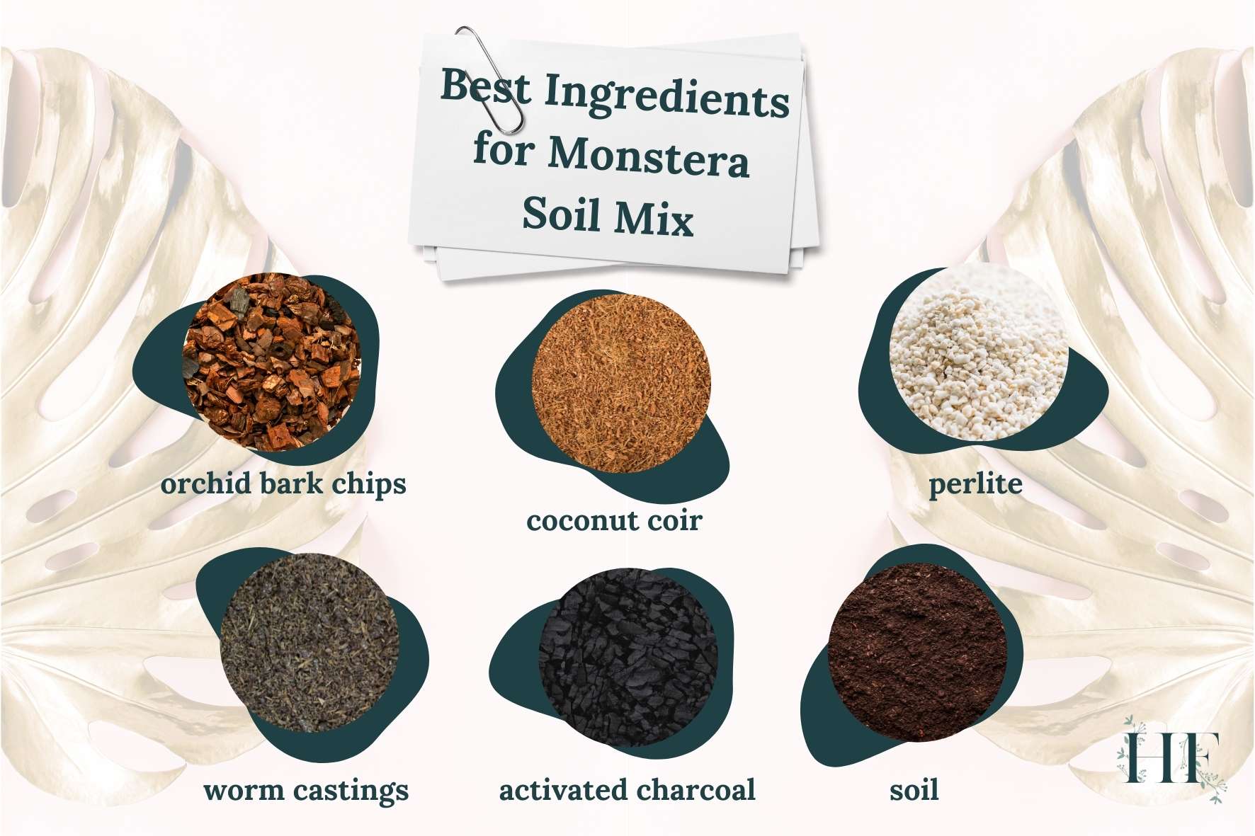 monstera-soil-mix-best-ingredients