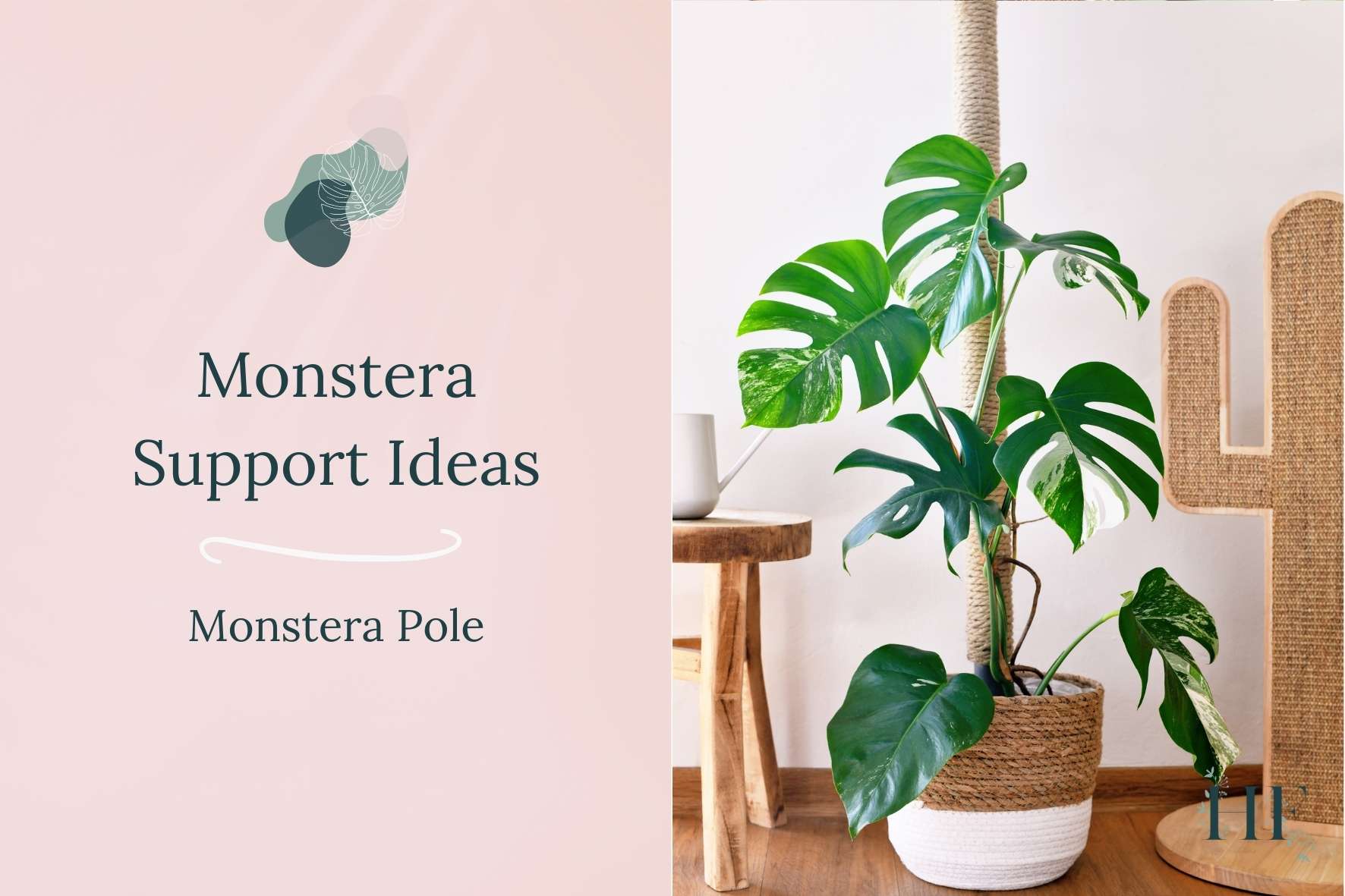 monstera-support-ideas-monstera-pole