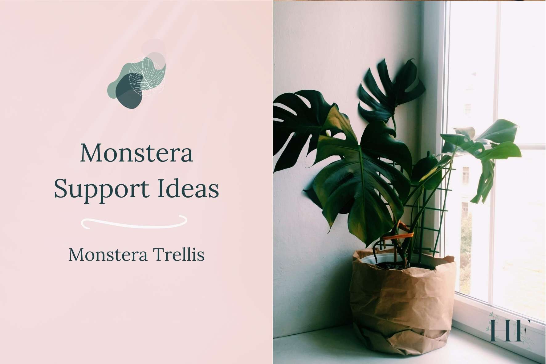 monstera-support-ideas-monstera-trellis