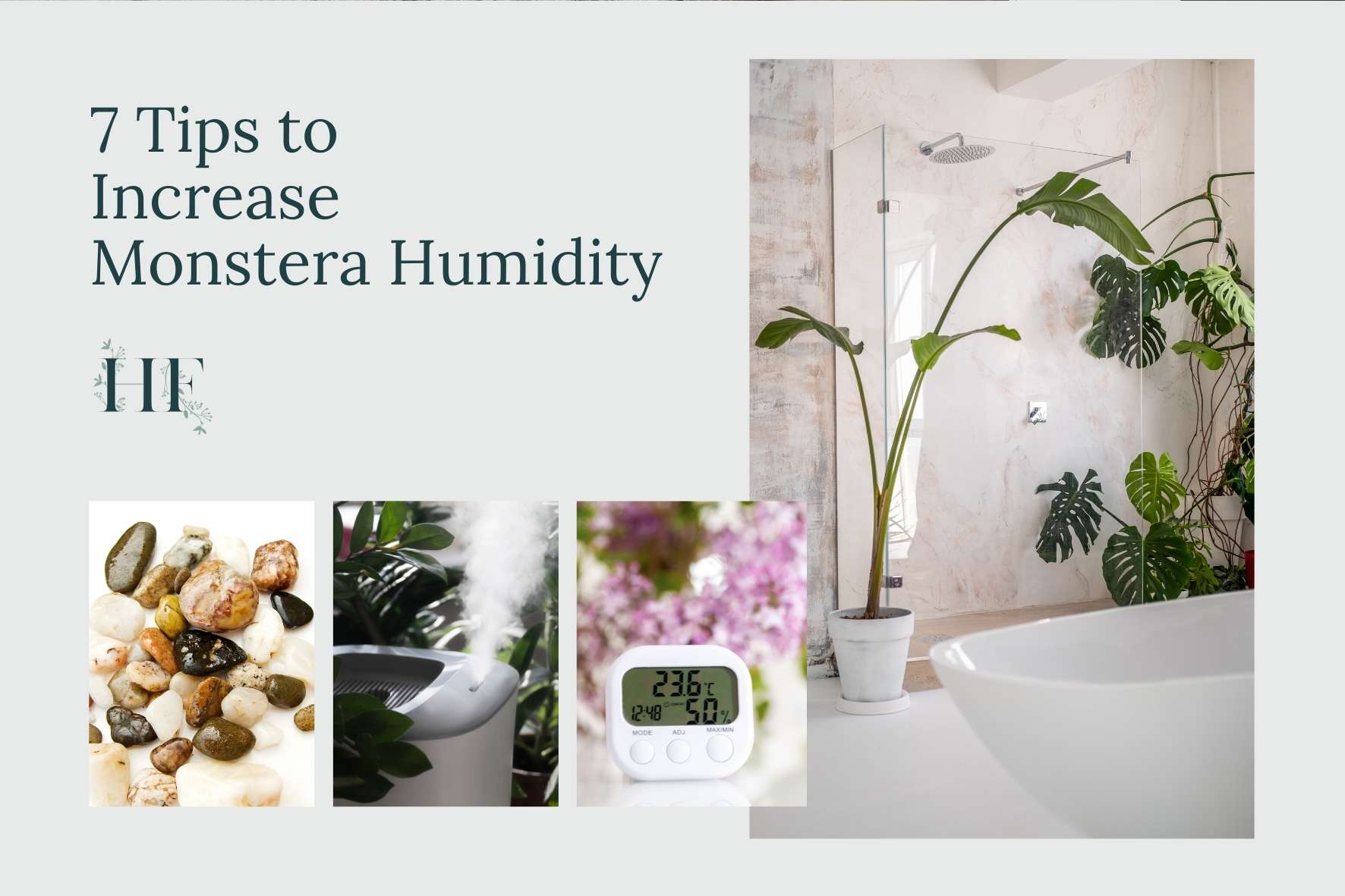 tips-to-increase-monstera-humidity