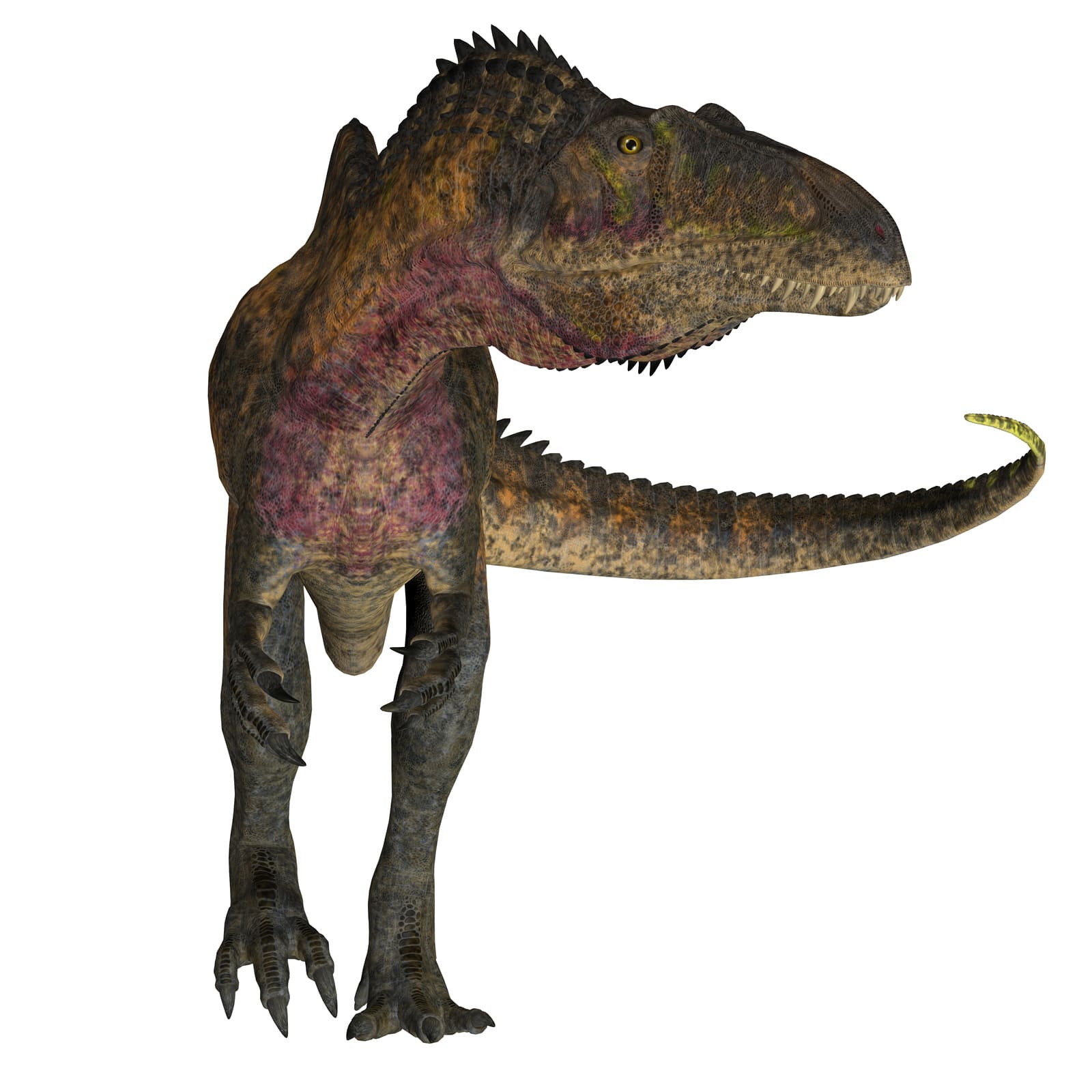 Cover image 1