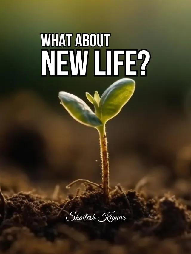 What About New Life?