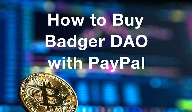 How to buybadger-dao with PayPal