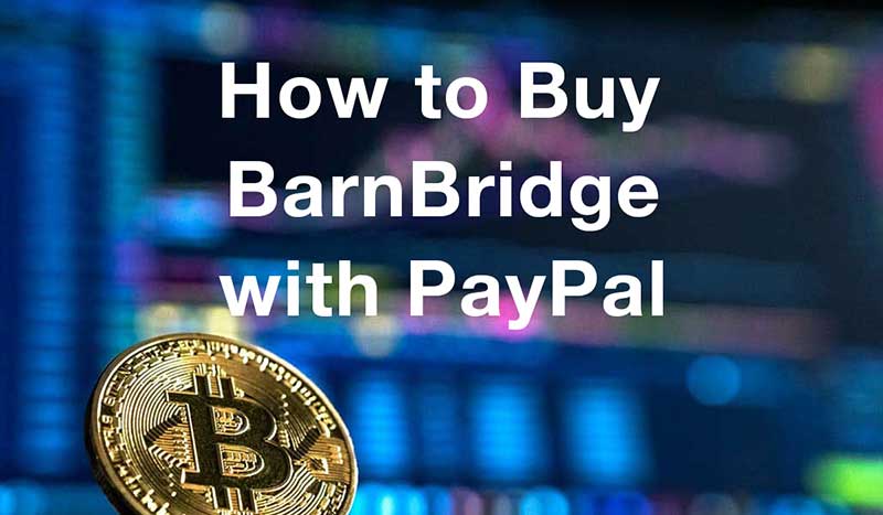 How to buybarnbridge with PayPal