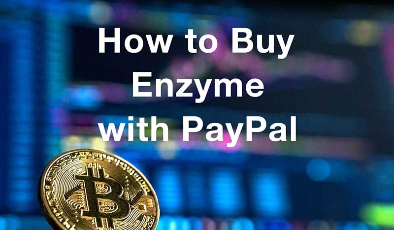 How to buyenzyme with PayPal