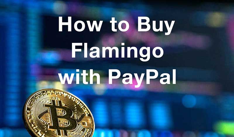 How to buyflamingo with PayPal