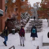 Republicans Face Setbacks in Push to Tighten Voting Laws on College Campuses