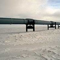 5 Reasons to drill in Arctic National Wildlife Refuge instead of draining petroleum reserve