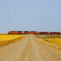 Mismanagement and ‘Monster Trains’ Have Wrecked American Rail