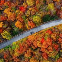 These Travel Insurance Strategies Will Keep You Safe (and Covered) Now