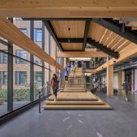 Sustainable Wood Buildings May Be the Next Frontier for Carbon Offsets