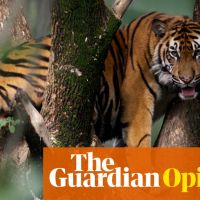 The Guardian view on biodiversity collapse: the crisis humanity can no longer ignore | Editorial