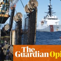 The Guardian view on the UN ocean treaty: arriving just in time | Editorial
