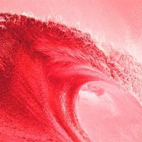 Bi-Partisan Establishment Turned a Red Wave into a Puddle