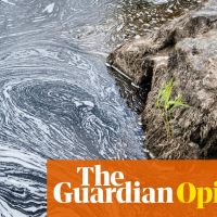 The Guardian view on rivers: delaying pollution controls will only lead to harm | Editorial