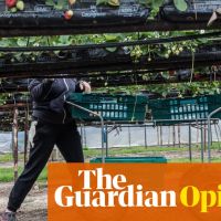 The Guardian view on Tory immigration policy: a moral choice