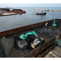 Top Climate Finance Group Floats Guidance on Asia Coal Phaseout