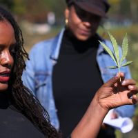 Cannabis is legal in most of America. But federal laws still block businesses from banks.