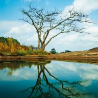 Sustainability with substance for Nigeria’s largest bank