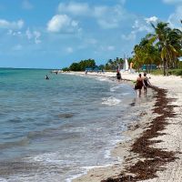 The unexpected ways Florida’s anti-blogger proposal actually benefit liberal media