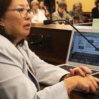 Who Democrats picked to replace Karen Mayne in the Utah Senate
