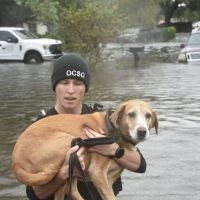 Max Lucado on Hurricane Ian and God, Biden’s EV obsession and more Fox News Opinion